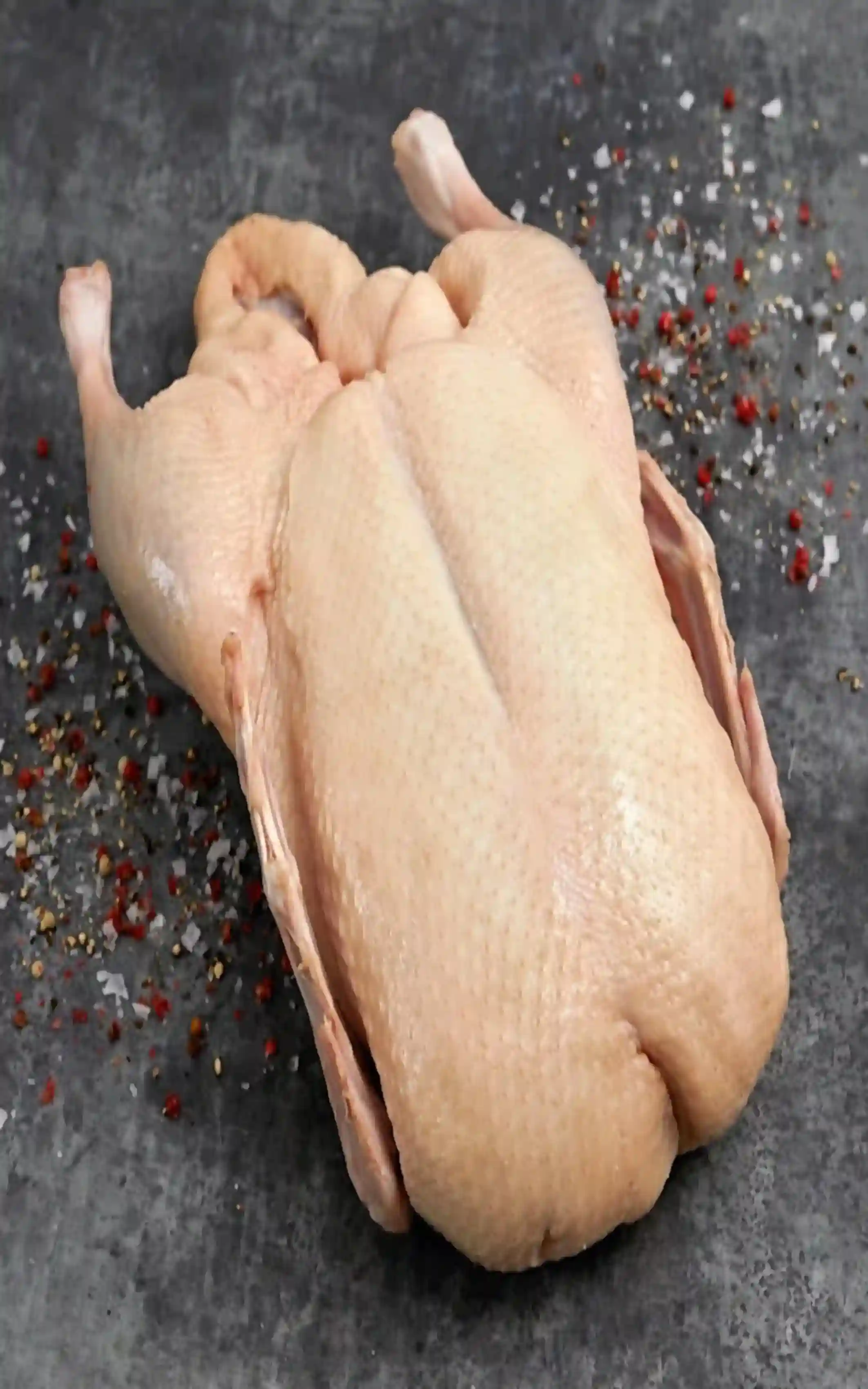 pato mochata
