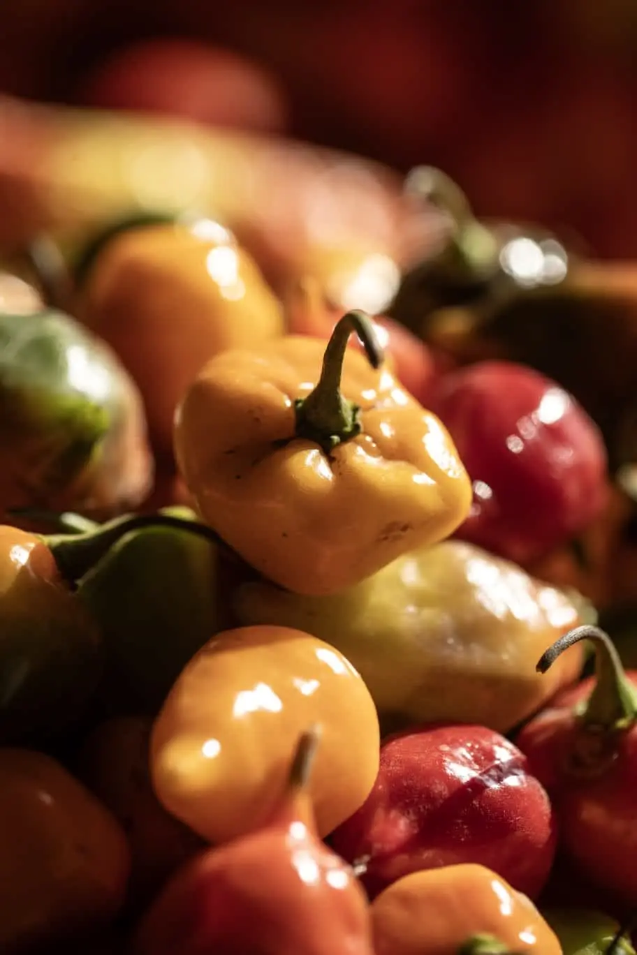 AJI