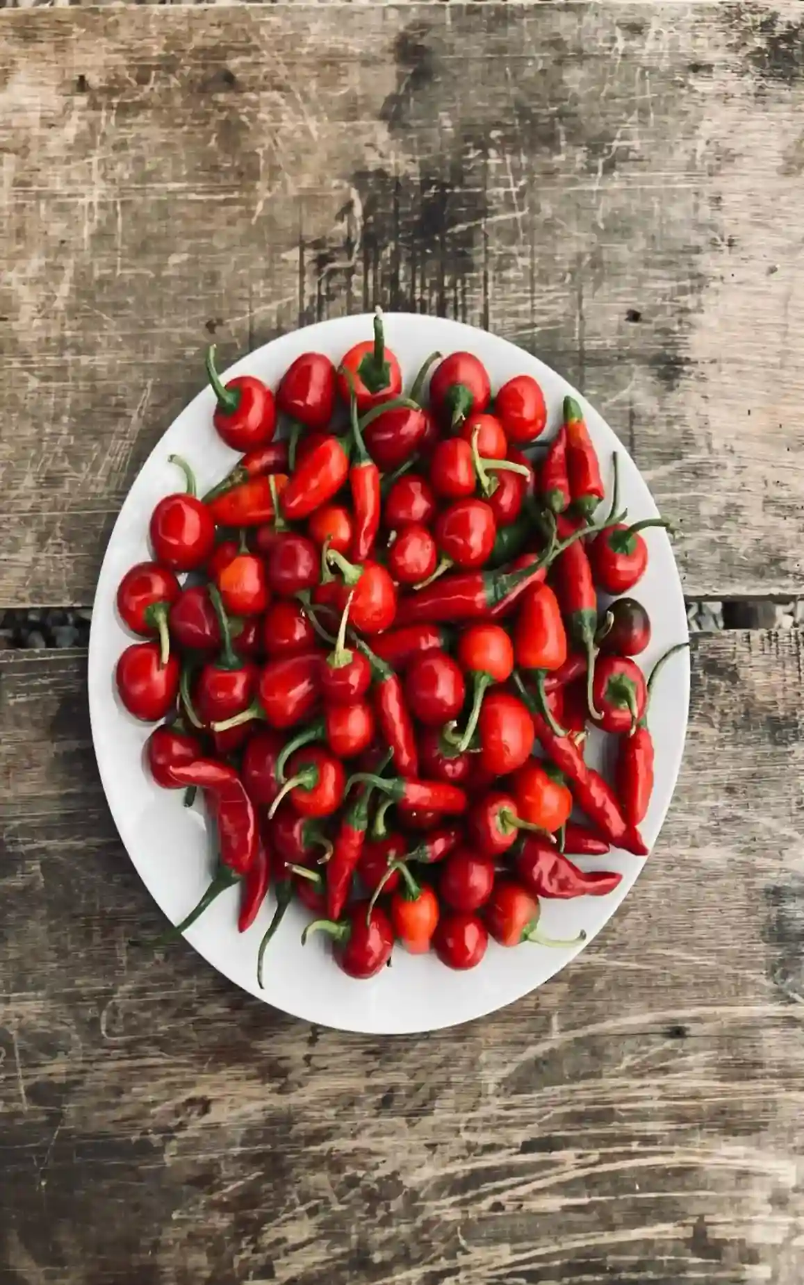 aji